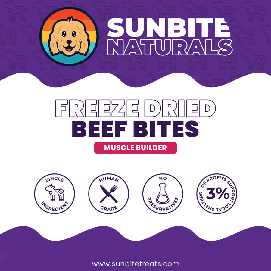 Freeze Dried Beef Bites