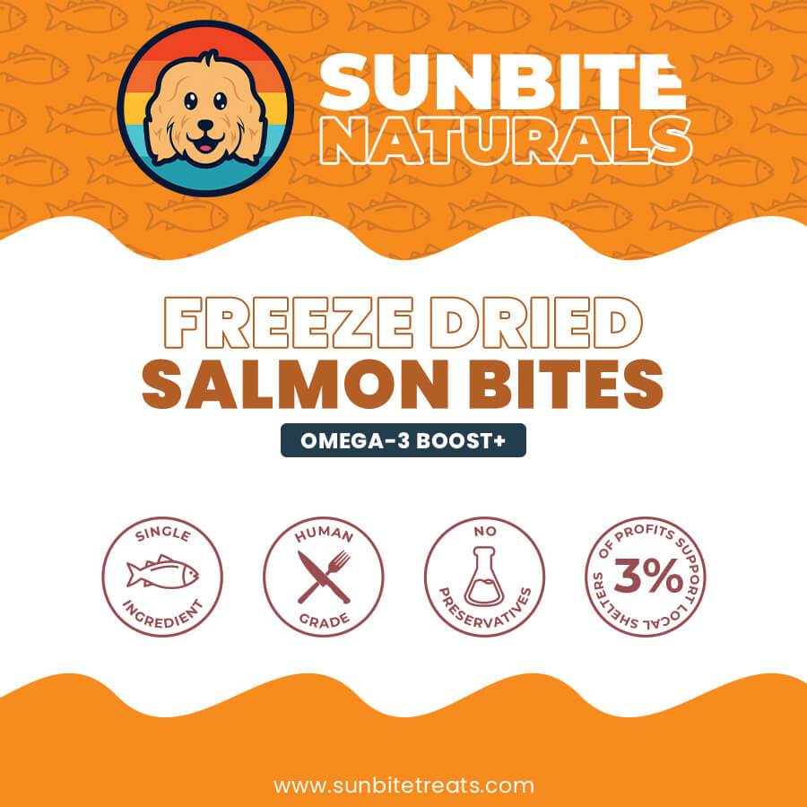 Freeze Dried Salmon Bites